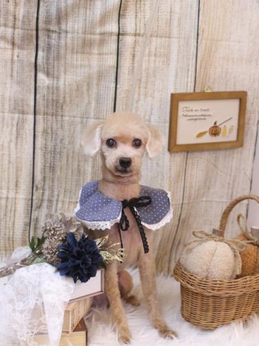 20241002ラッキーくん